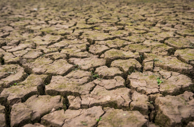 UN Warns Global Temperatures Could Rise by 3.1°C by 2100